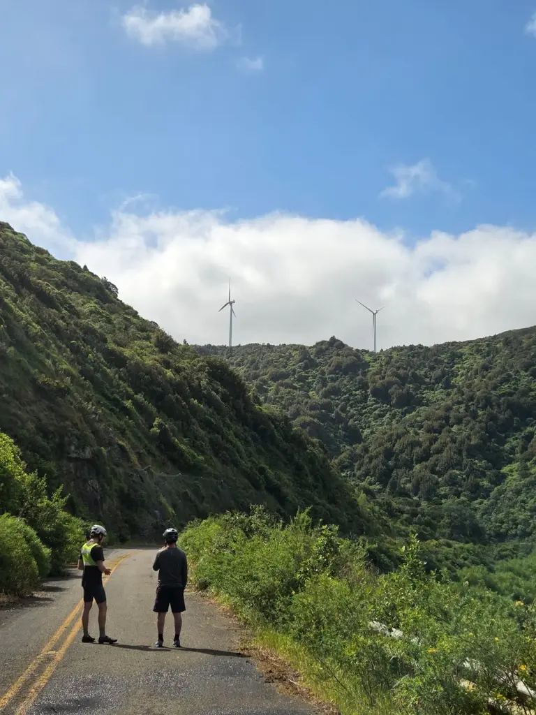 Two cyclists stopped on a narrow road beneath wind turbines