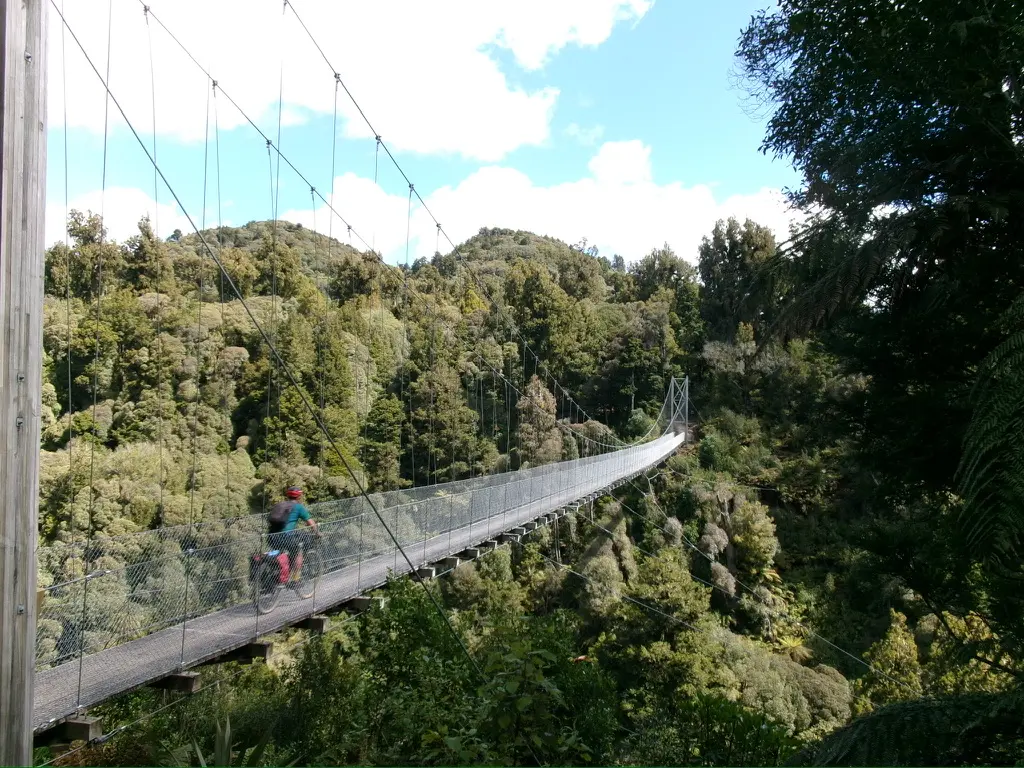 Cyclist crossing a suspension bridge through dense forest