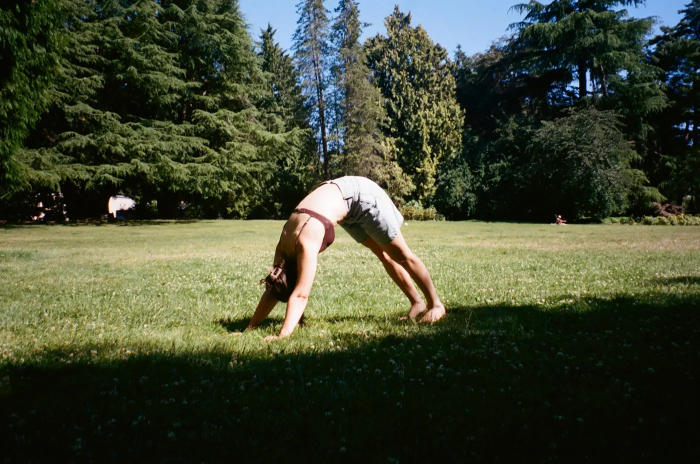 Person doing a backbend on a sunlit lawn